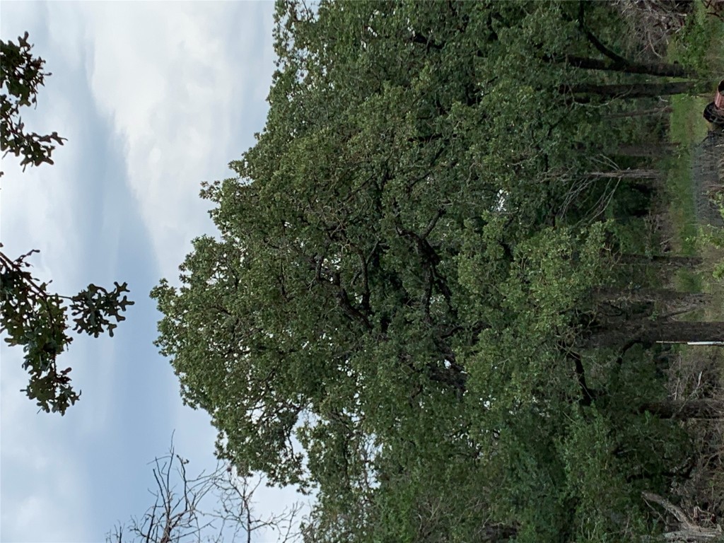 276 Ott Road Rosanky, TX 78953 - Photo 17 of 27