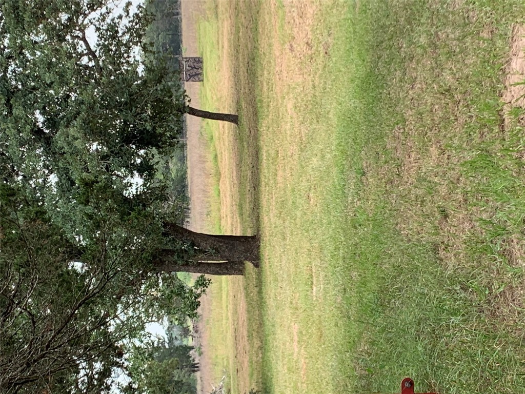 276 Ott Road Rosanky, TX 78953 - Photo 19 of 27 a view of a yard with a tree