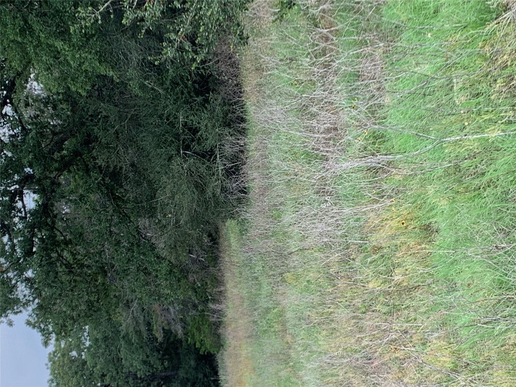 276 Ott Road Rosanky, TX 78953 - Photo 23 of 27 a view of a field of grass and trees