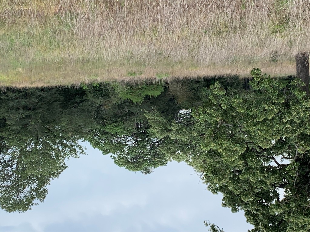 276 Ott Road Rosanky, TX 78953 - Photo 25 of 27 a view of a field of grass and trees