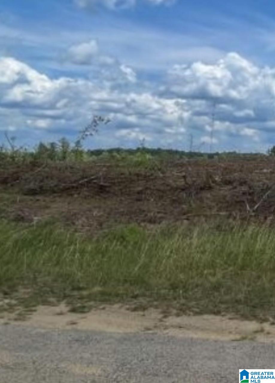 140 County Road 489, Unit 1 Verbena, AL 36091 - Photo 1 of 1
