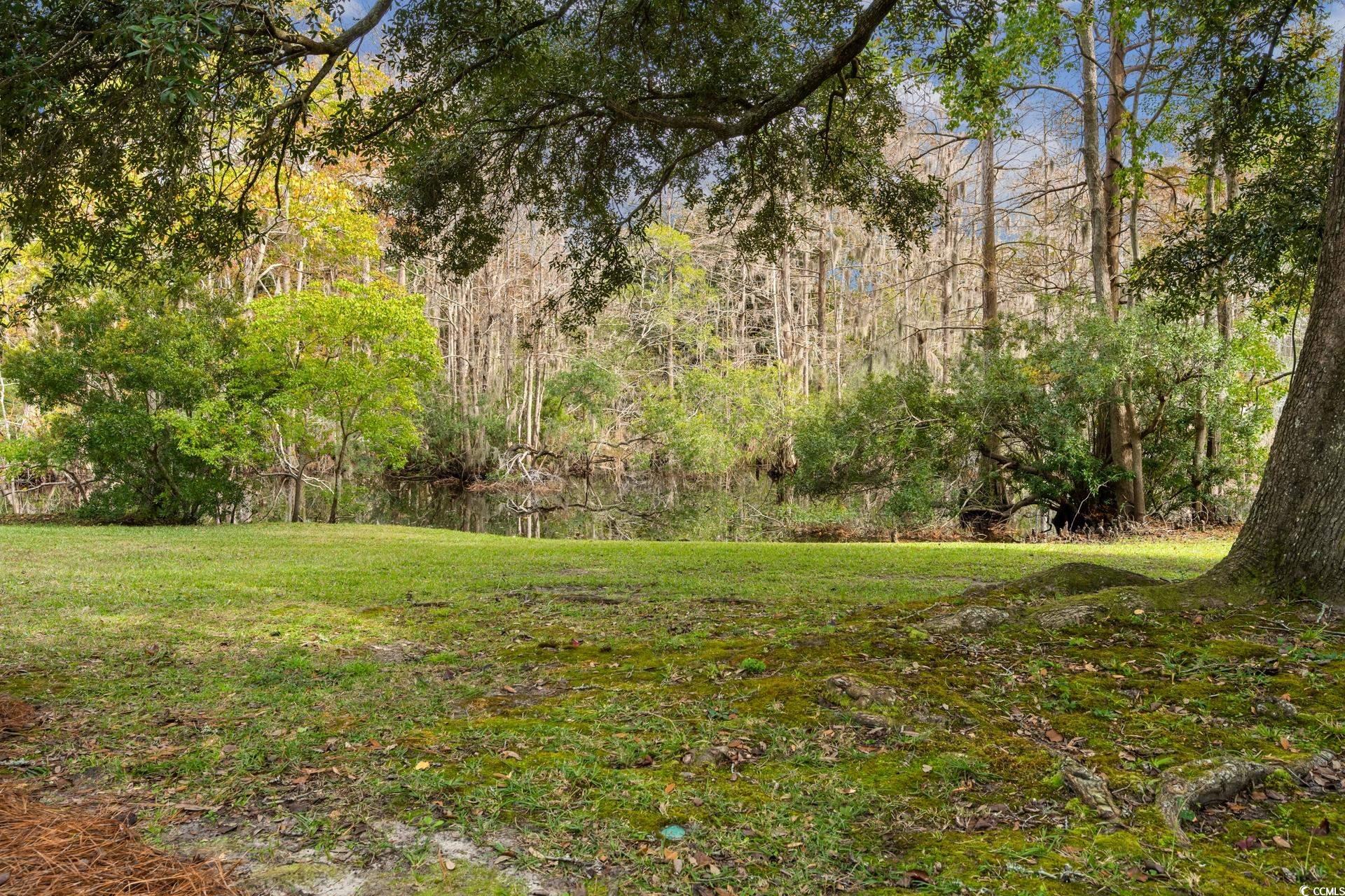 58 Wedgefield Village Road, Unit 48 Georgetown, SC 29440 - Photo 24 of 37