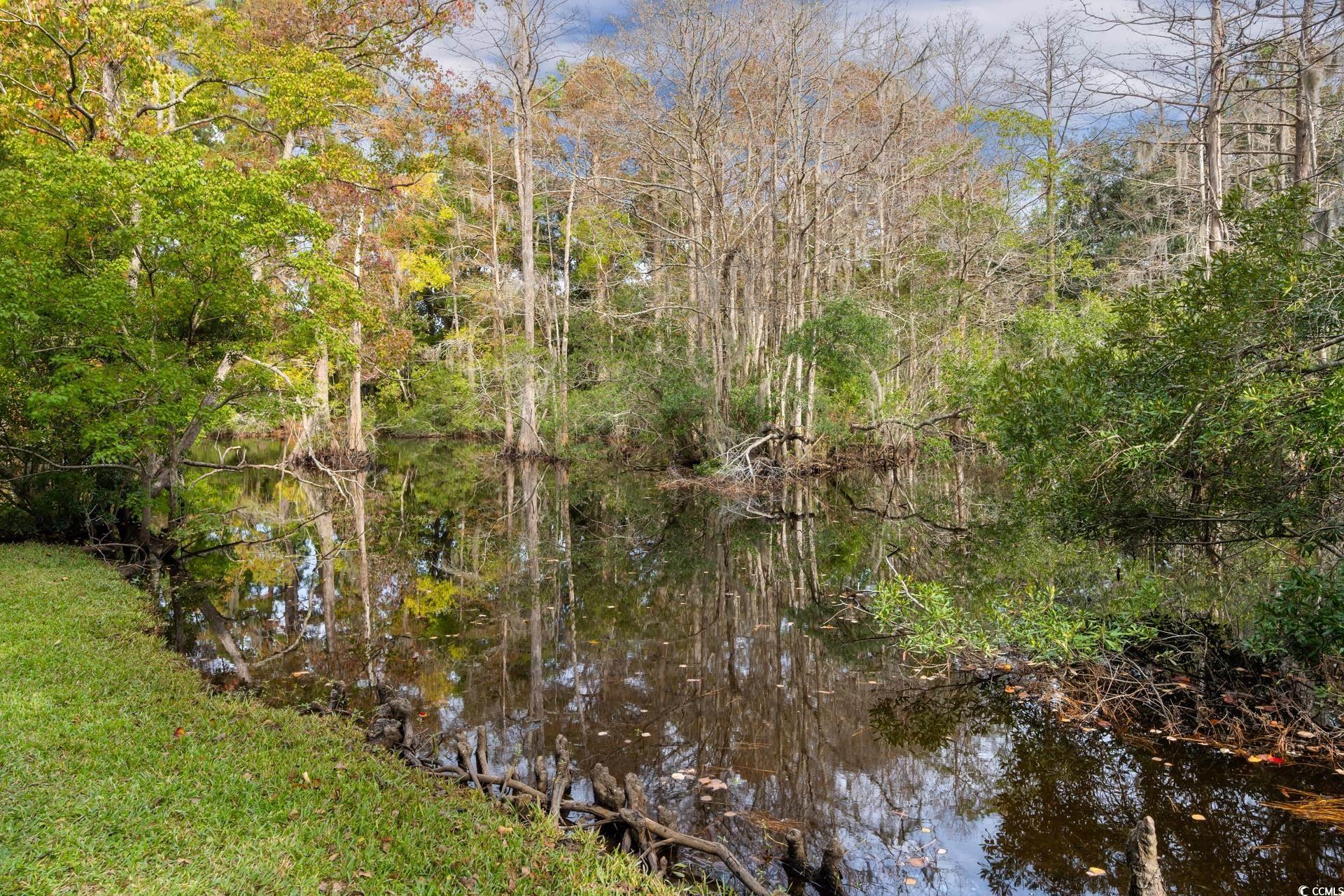 58 Wedgefield Village Road, Unit 48 Georgetown, SC 29440 - Photo 25 of 37
