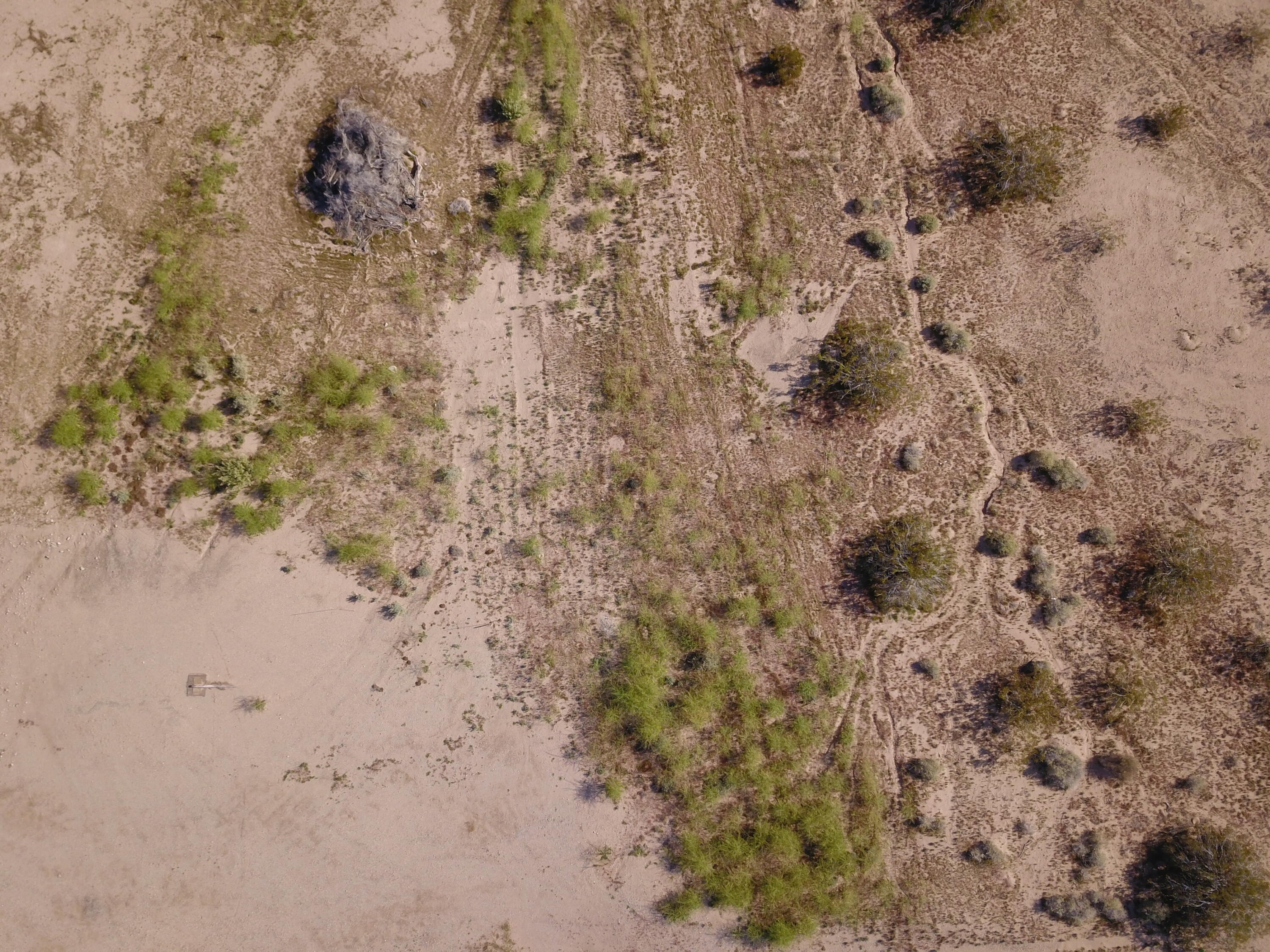 0 Quail Run Road Blythe, CA 92225 - Photo 9 of 14 DJI_0015