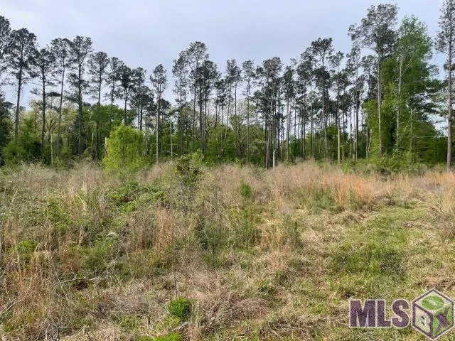 $160,000 | 0 Monica Lane, Hammond, LA 70403