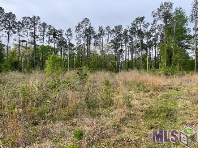 0 Monica Lane Hammond, LA 70403 - Photo 1 of 4