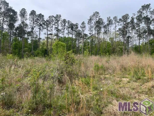 $160,000 | 0 Monica Lane, Hammond, LA 70403