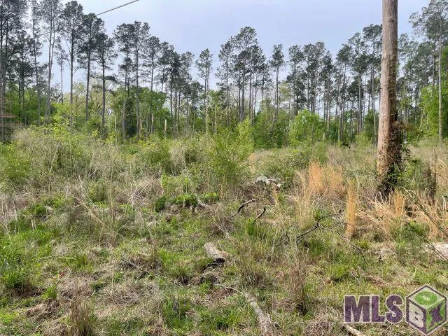 $160,000 | 0 Monica Lane, Hammond, LA 70403