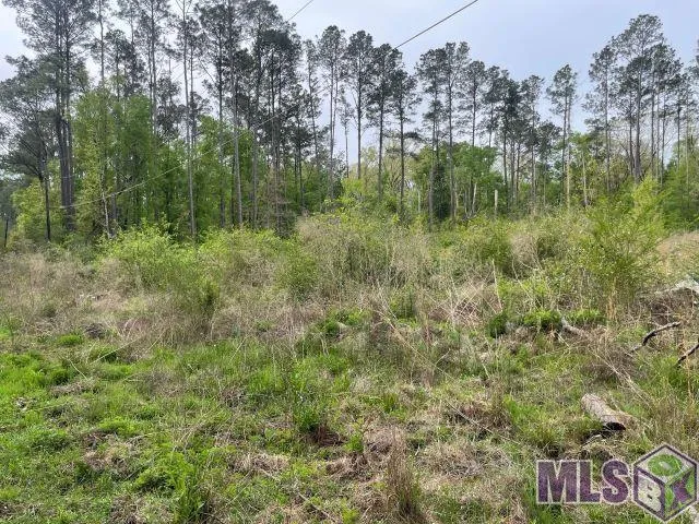 $160,000 | 0 Monica Lane, Hammond, LA 70403