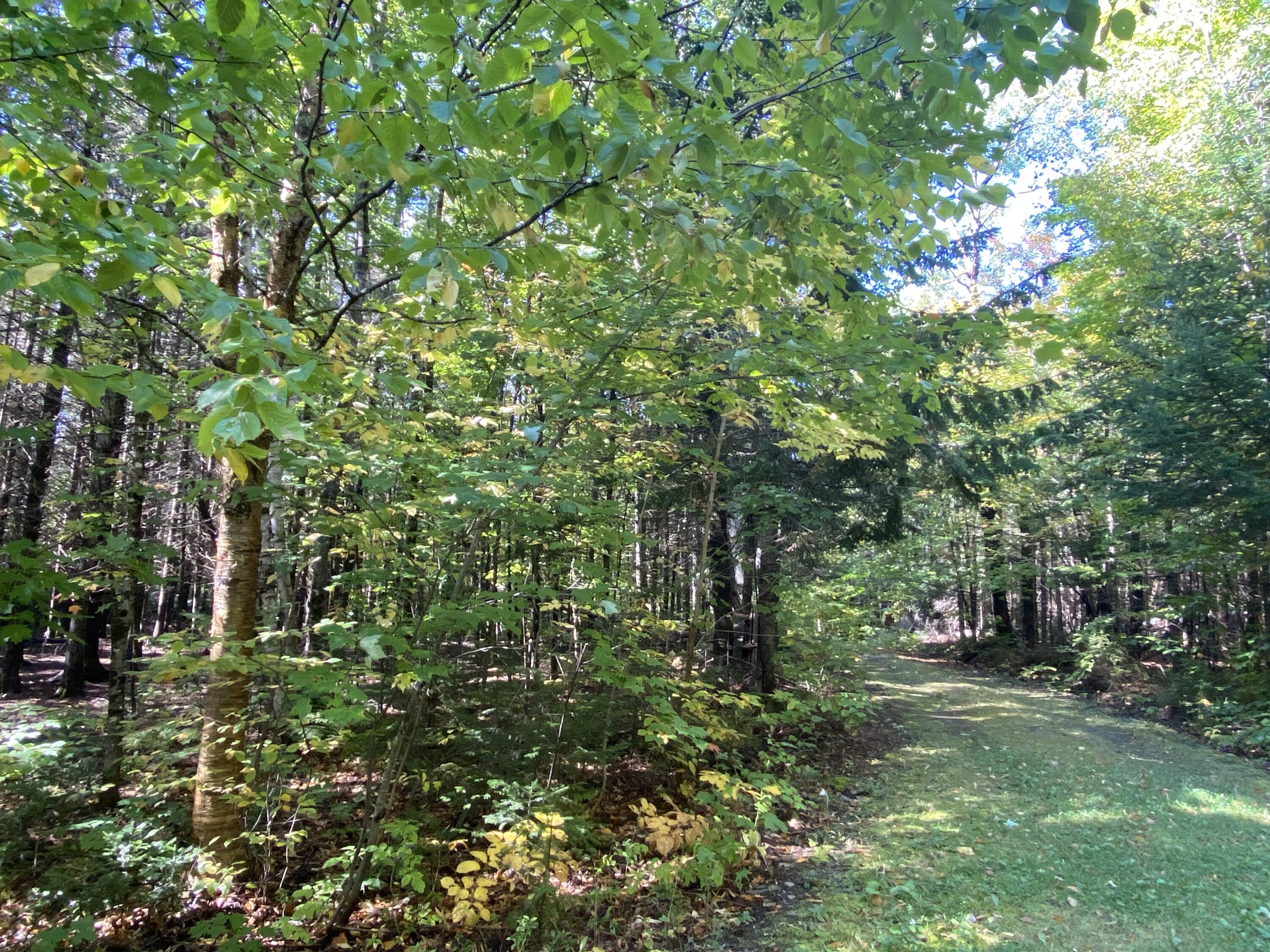 6 Sugartree Road St. David, ME 04773 - Photo 14 of 18 IMG_7281