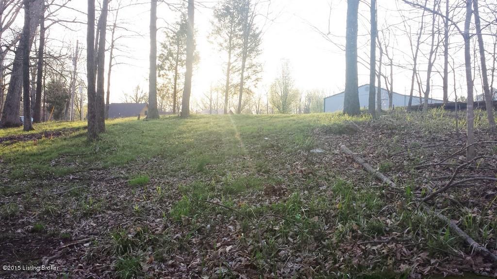 908 Spring Shores Lane Falls Of Rough, KY 40119 - Photo 2 of 10 280-2