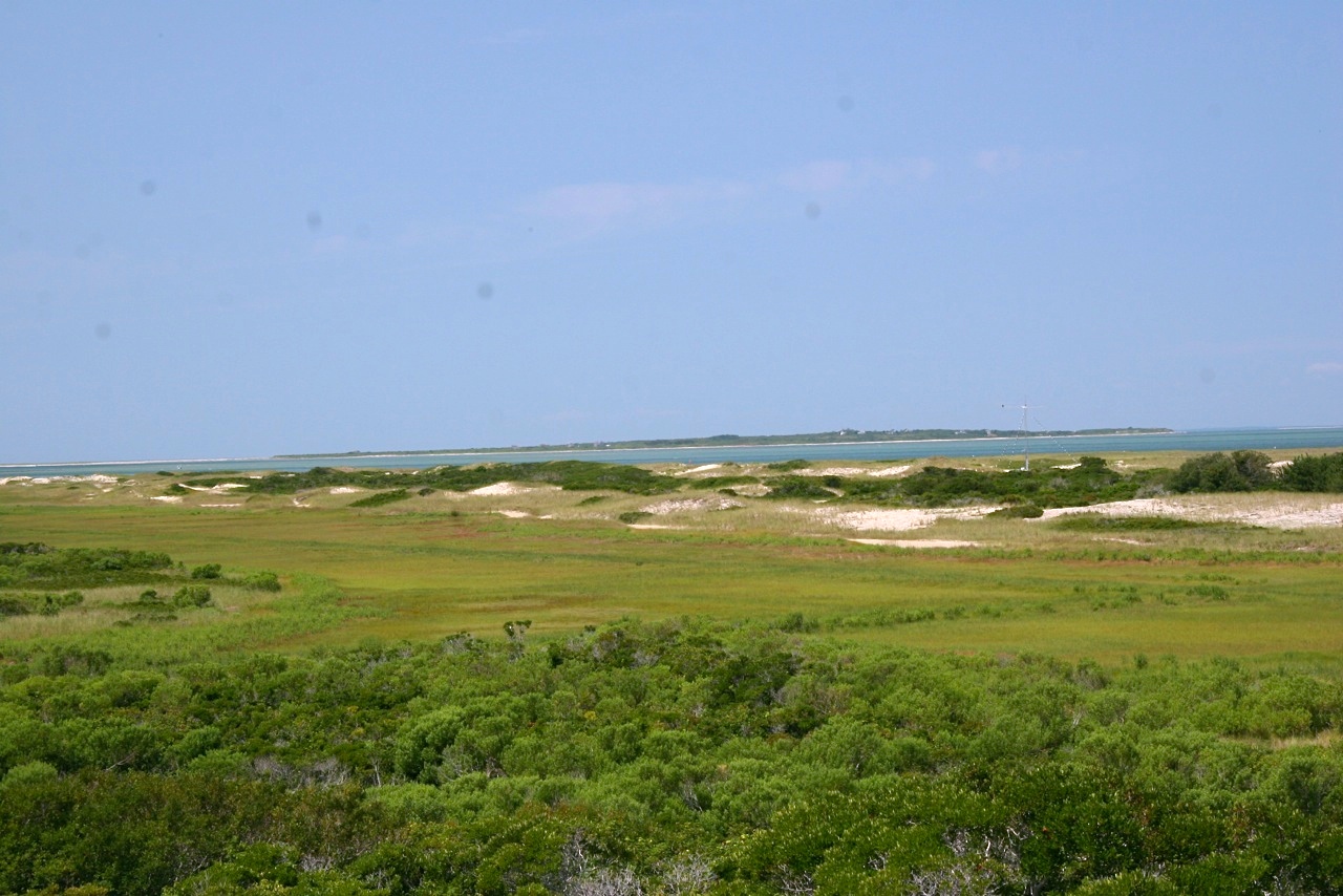 181 Eel Point Road Nantucket, MA 02554 - Photo 11 of 21 Gallery Image 11