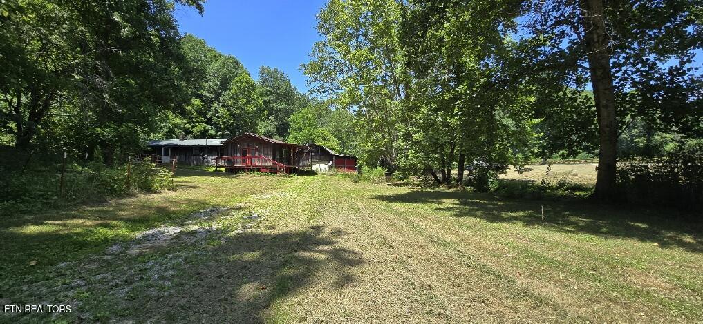 3894 Buffalo Road Oneida, TN 37841 - Photo 15 of 38 20260702_133648