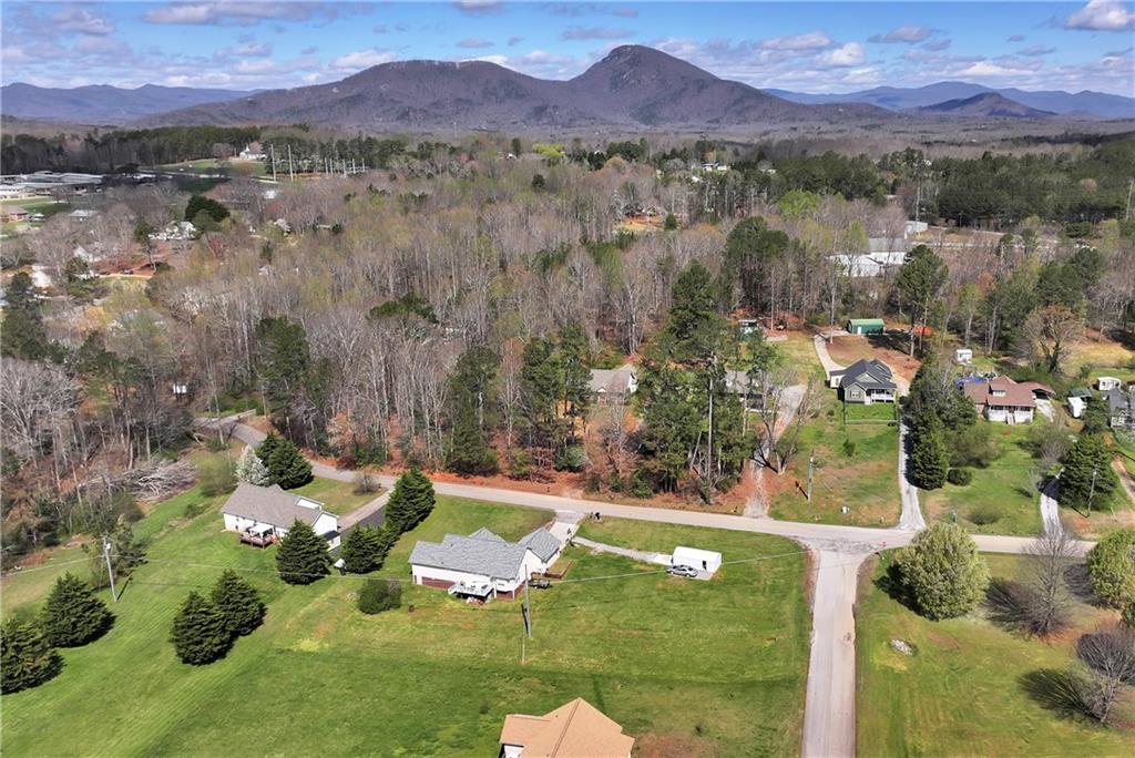 255 Leatherford Road Cleveland, GA 30528 - Photo 40 of 46