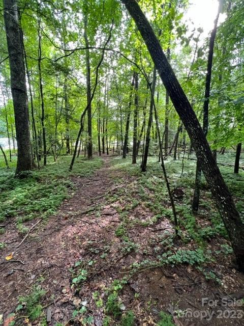 481 Brooks Road Bostic, NC 28018 - Photo 27 of 28 a green field with lots of trees