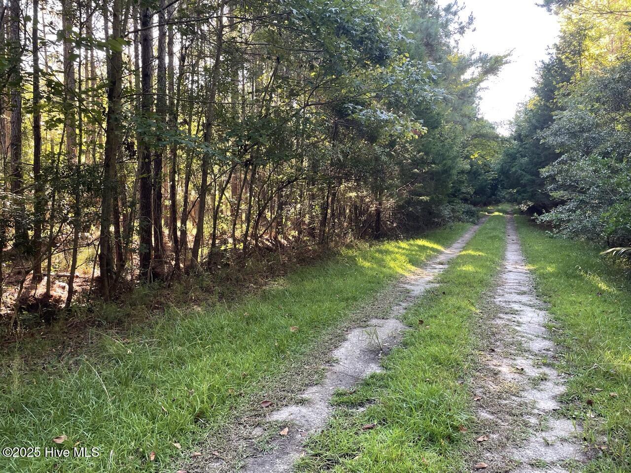 400 4-H Road Beaufort, NC 28516 - Photo 17 of 36 IMG_4532 Large