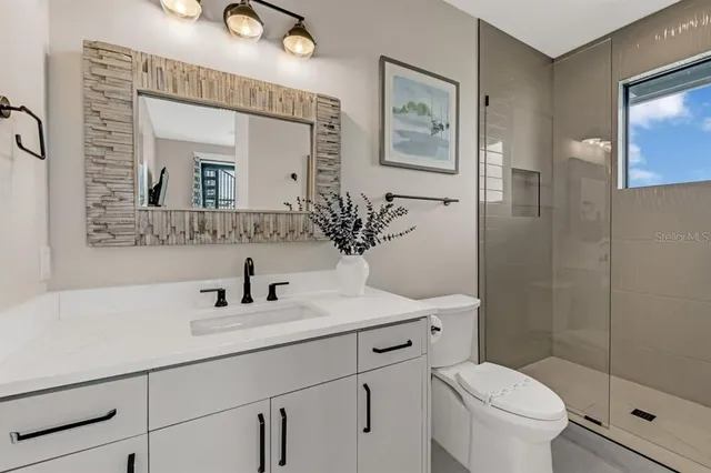 a bathroom with a toilet a sink a mirror a vanity and shower