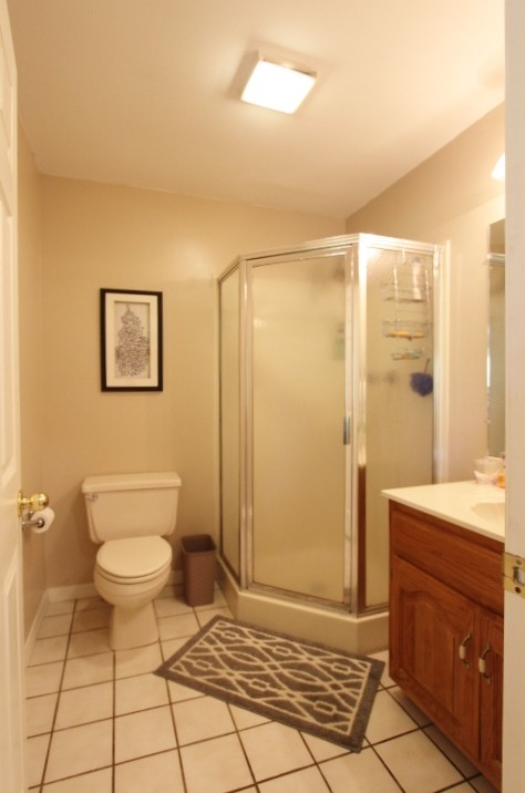 3157 Buckeye Road Erin, TN 37061 - Photo 16 of 41 a bathroom with a toilet a sink a mirror and shower