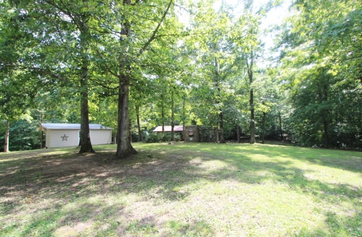 3157 Buckeye Road Erin, TN 37061 - Photo 34 of 41 a view of a trees in a yard