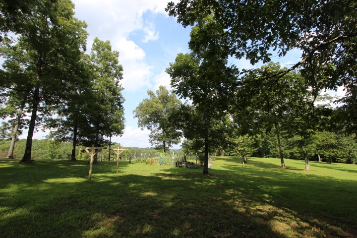 3157 Buckeye Road Erin, TN 37061 - Photo 35 of 41 a view of a trees in a park