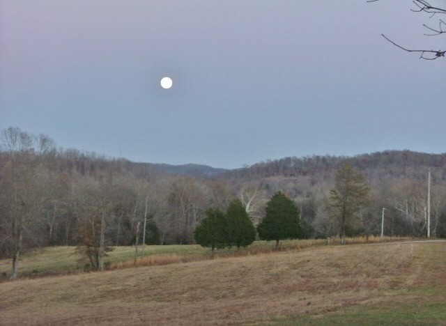 3157 Buckeye Road Erin, TN 37061 - Photo 41 of 41 a view of a road with a mountain in the background