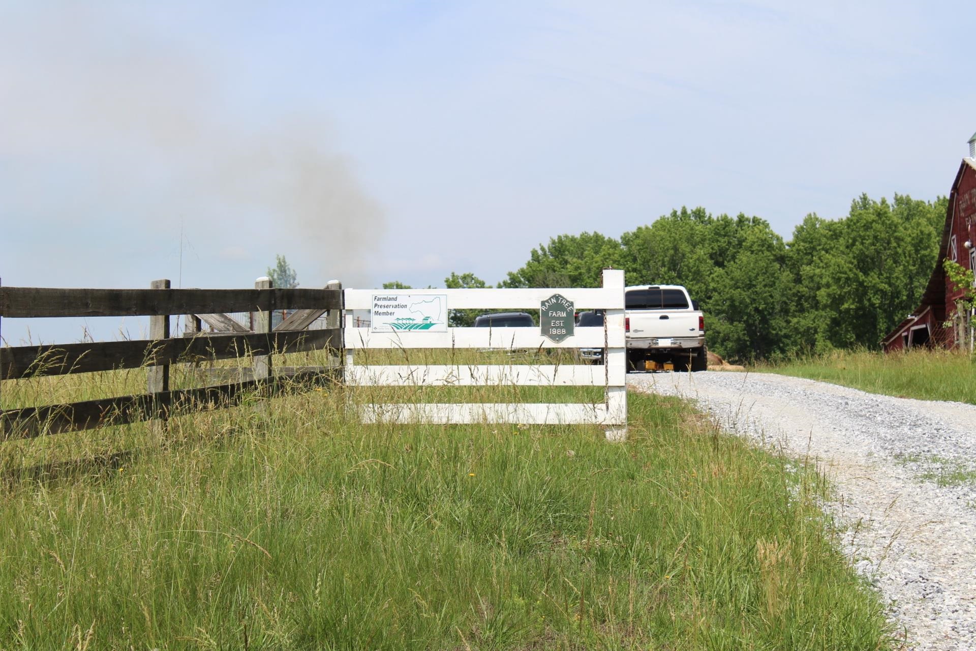 Lot 9 Ted Smith Road Rutherfordton, NC 28139 - Photo 8 of 18