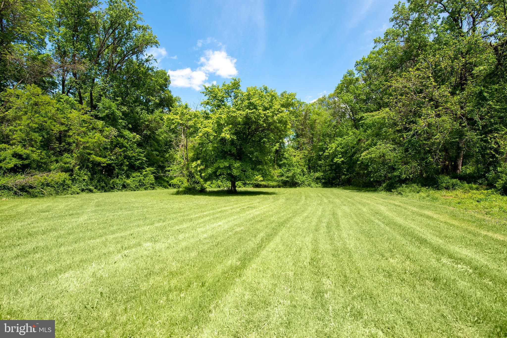 407 Mt Zoar Road Conowingo, MD 21918 - Photo 6 of 20