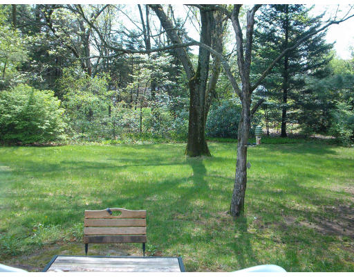 291 Wolf Swamp Road Longmeadow, MA 01106 - Photo 3 of 4 Gallery Image 3