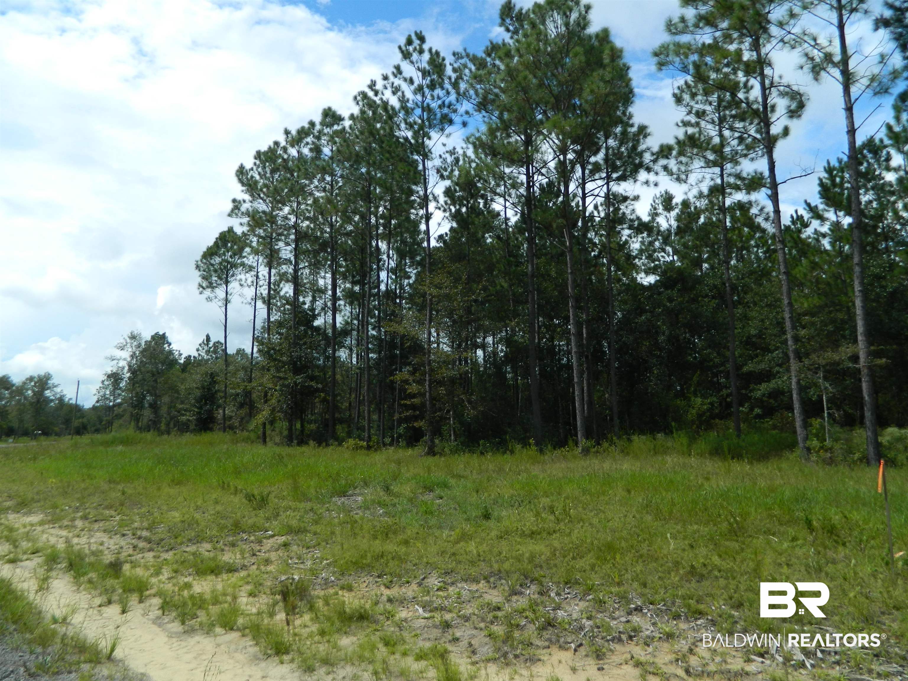 4 Foxtrap Road Axis, AL 36505 - Photo 7 of 9