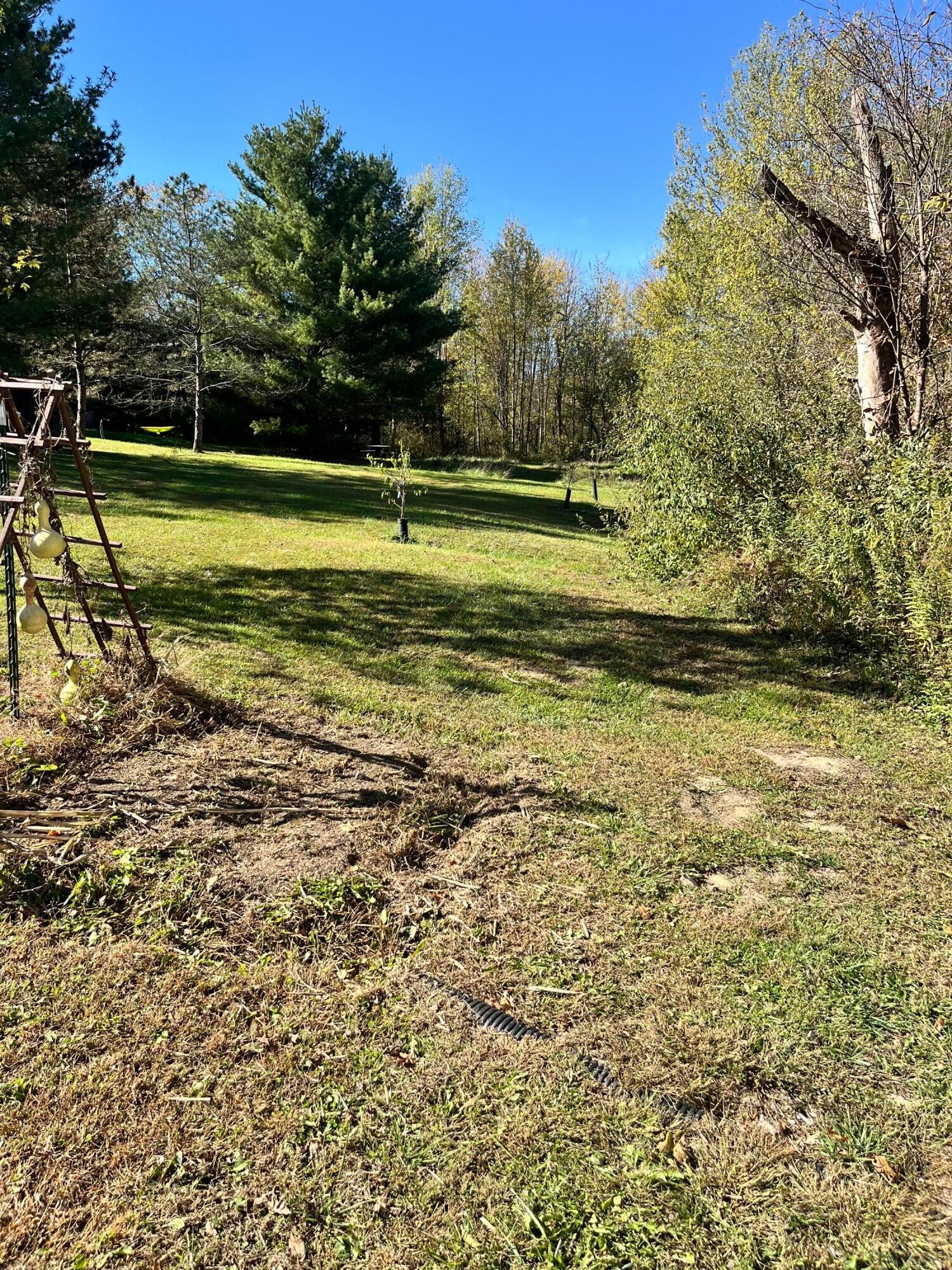 4084 Burnt Pond Road Ostrander, OH 43061 - Photo 5 of 38 Back yard