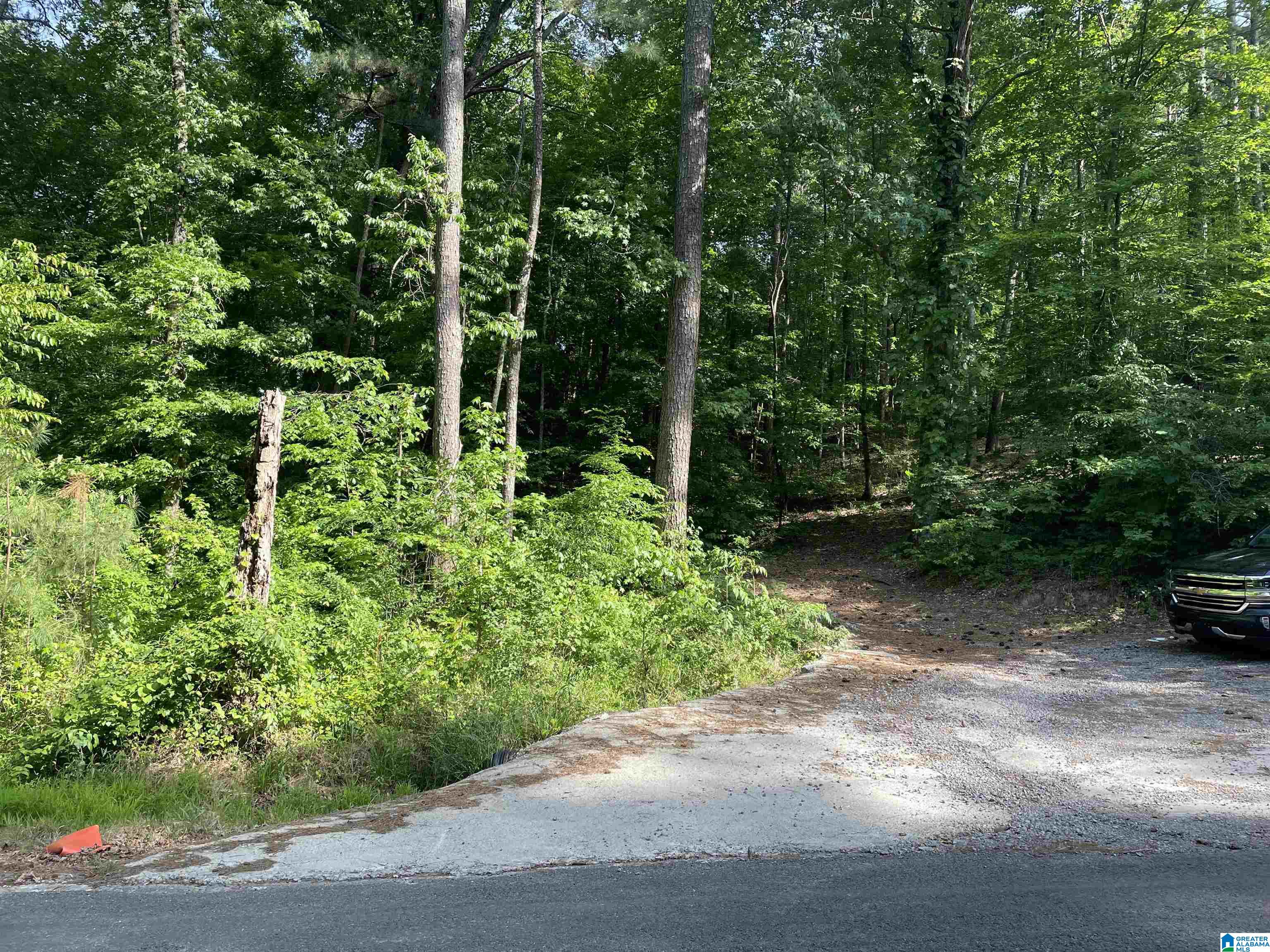 0 Sportsman Lake Road, Unit 1 Springville, AL 35146 - Photo 8 of 24
