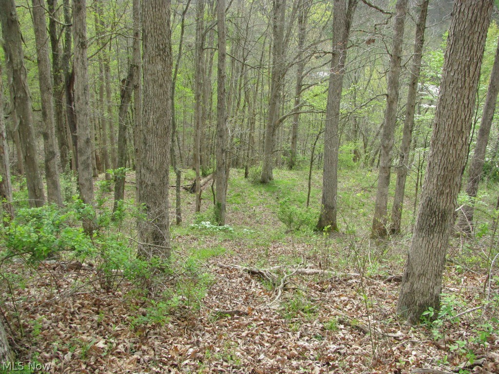 1767 Spruce Creek Road Auburn, WV 26325 - Photo 10 of 18