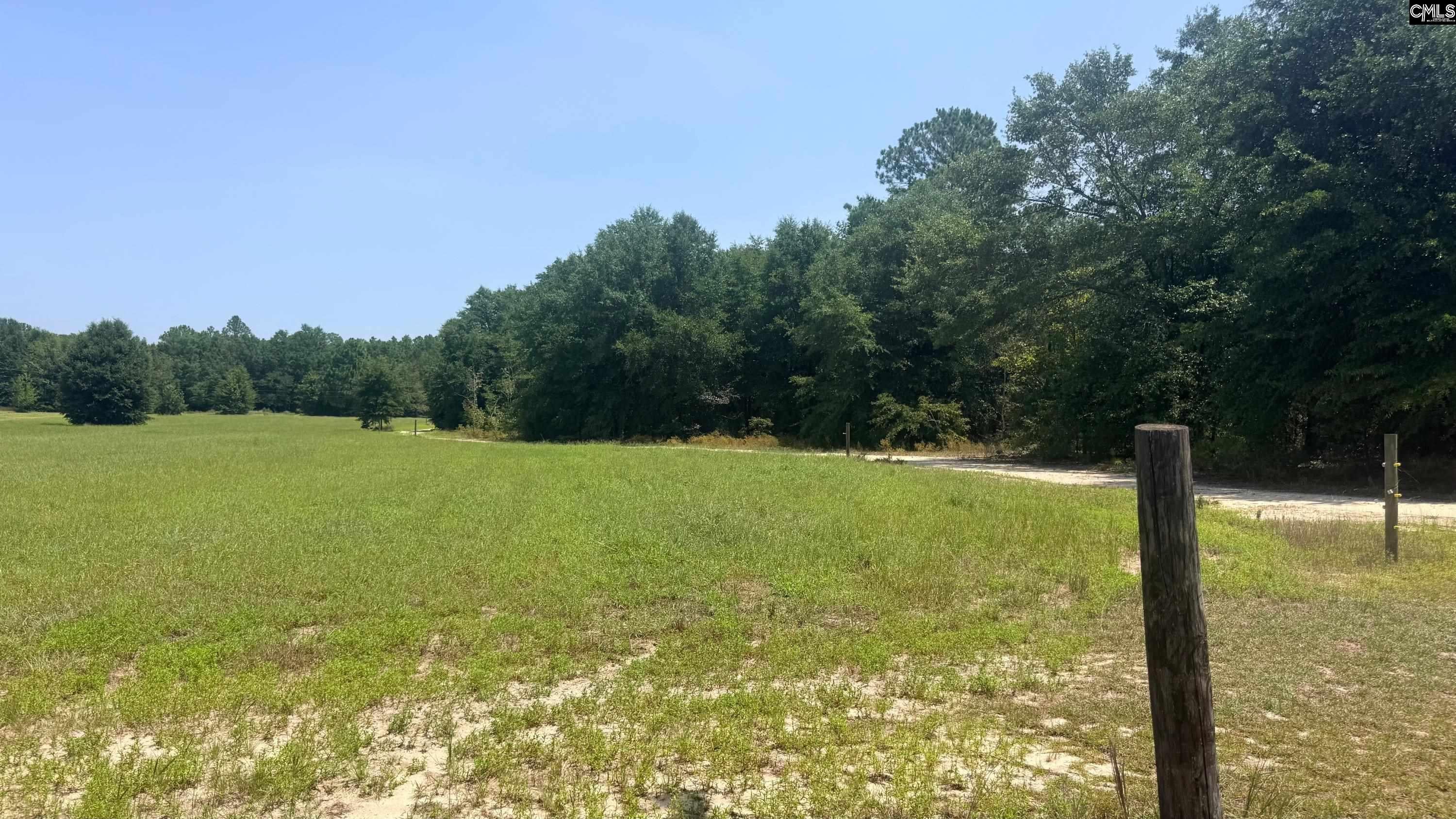 0 Poinsettia Road Wagener, SC 29164 - Photo 3 of 15 Gallery Image 3