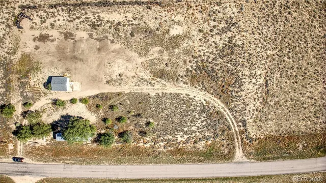 a view of a big yard with plants and large trees