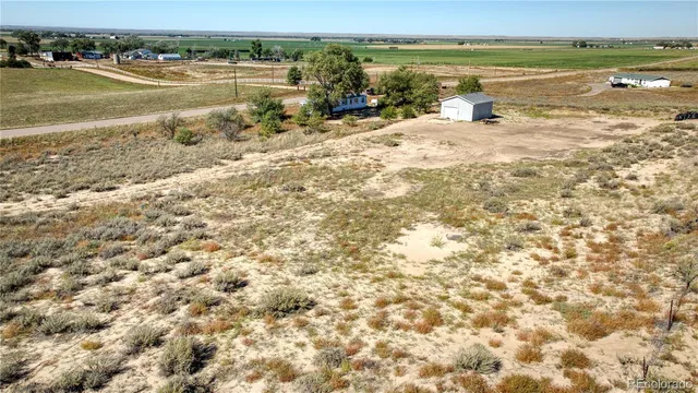 a view of dirt field with trees in background