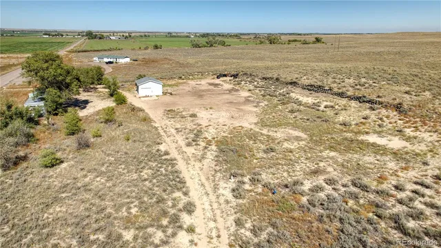 a view of a flower in a yard