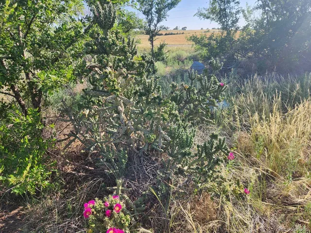 $119,000 | 54998 County Road Q, Hillrose, CO 80733