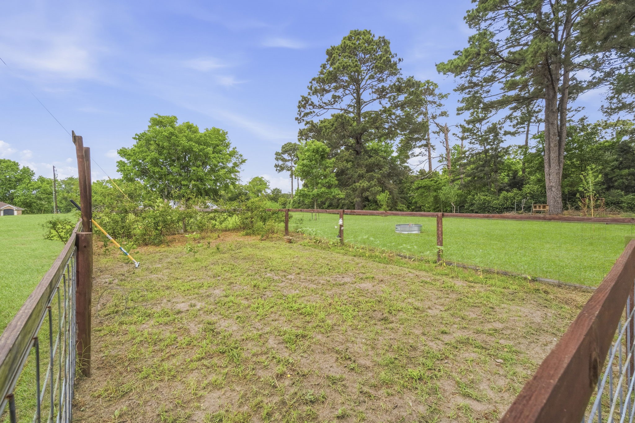259 Memphis Bell Lane Trinity, TX 75862 - Photo 46 of 50 a view of a yard with tall trees