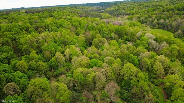 $215,000 | Morganville Rd Road, Malta, OH 43758