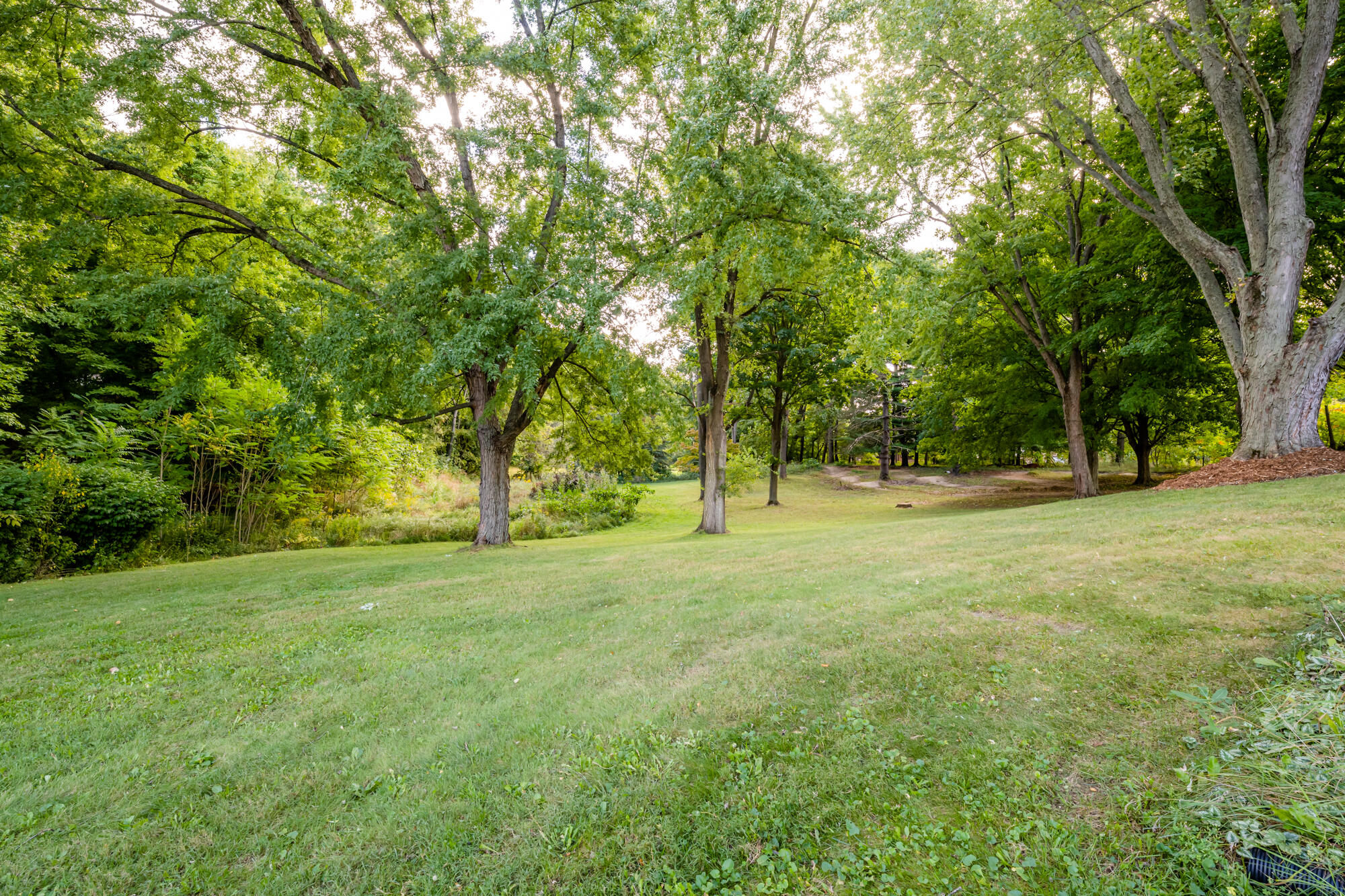 10153 Lauer Road Baroda, MI 49101 - Photo 34 of 39 Lauer-136