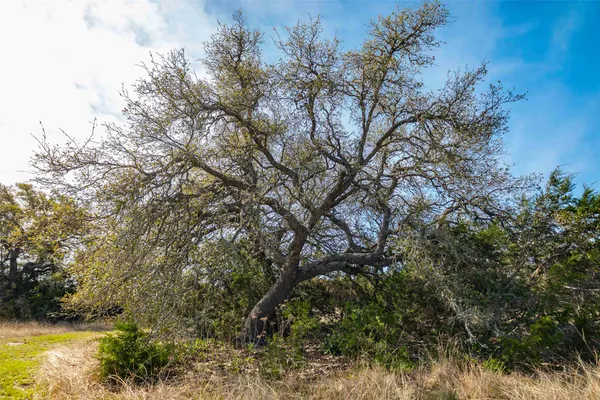 $275,000 | Lot 8 Saddle Ridge Drive, Bertram, TX 78605