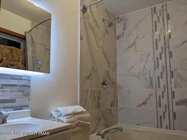 a bathroom with a shower and a sink