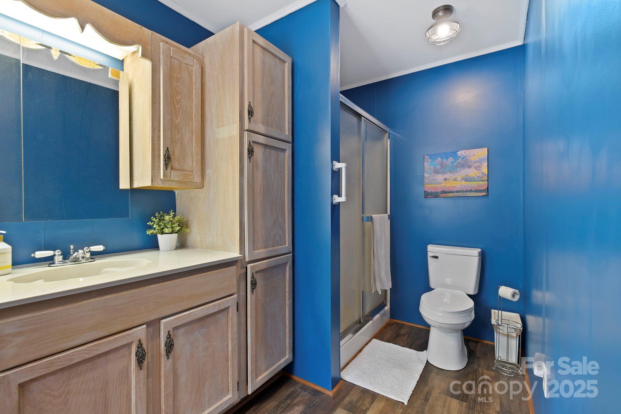909 Pearson Falls Road Saluda, NC 28773 - Photo 23 of 41 Gallery Image 23