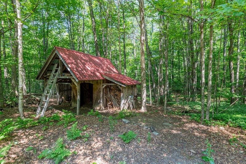 2734 Mad Tom Road Dorset, VT 05253 - Photo 54 of 60