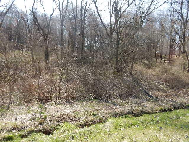 0 Grand Ridge Road Howard, OH 43028 - Photo 4 of 5 DSCN5156