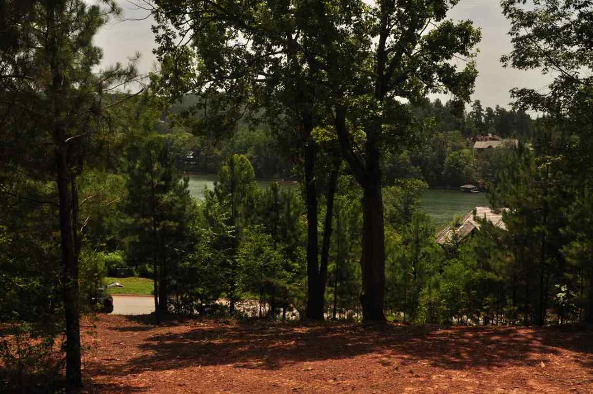 219 Long Ridge Road, Unit E 239 Sunset, SC 29685 - Photo 1 of 4