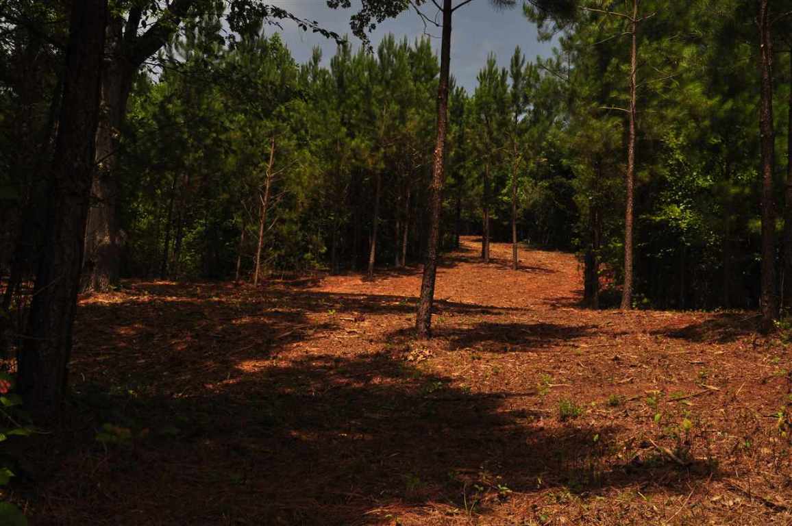 219 Long Ridge Road, Unit E 239 Sunset, SC 29685 - Photo 2 of 4