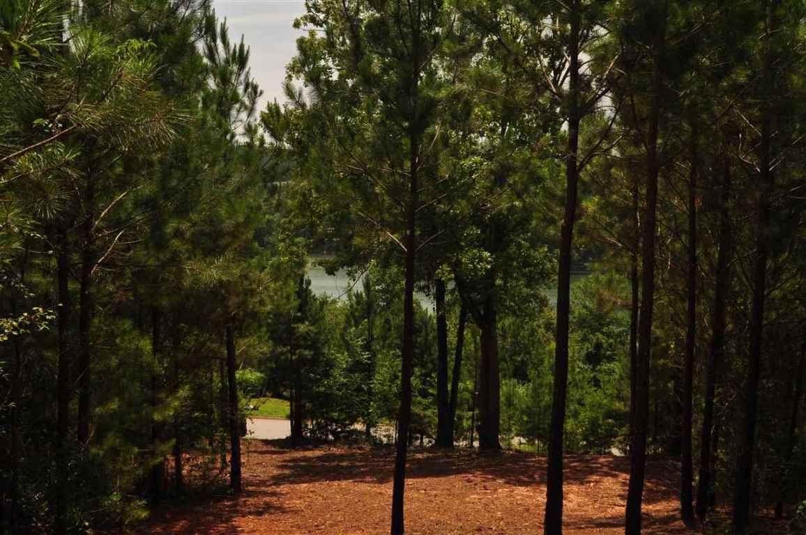 219 Long Ridge Road, Unit E 239 Sunset, SC 29685 - Photo 3 of 4