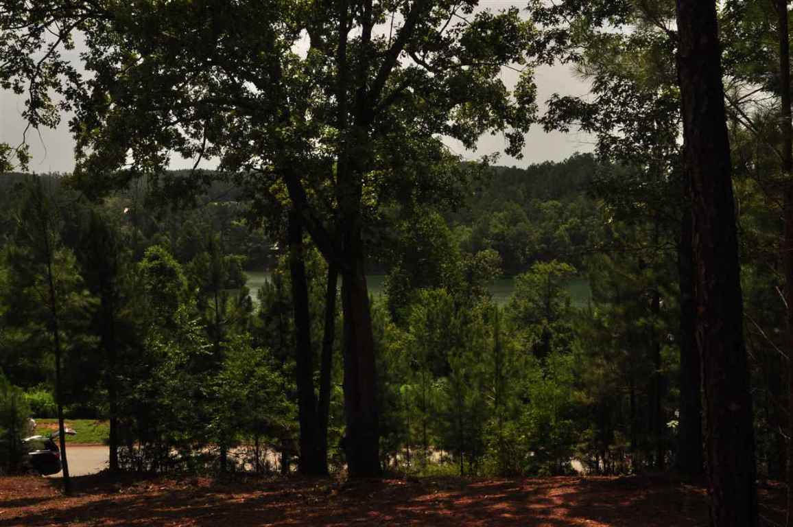 219 Long Ridge Road, Unit E 239 Sunset, SC 29685 - Photo 4 of 4