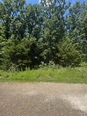 $6,500 | 641 Briarwood Drive, St. Clair, MO 63077